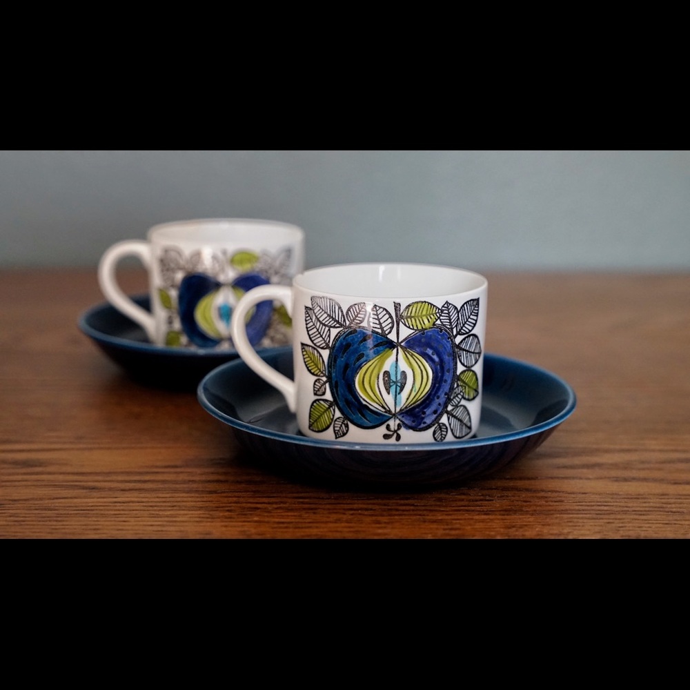 Rorstrand Eden, cup and saucer